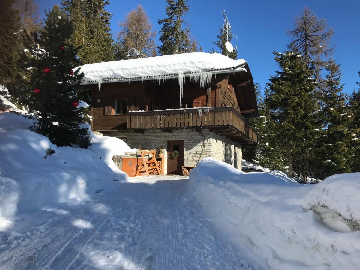 Kronplatz Ski Lodge ヴァルダーオラ エクステリア 写真