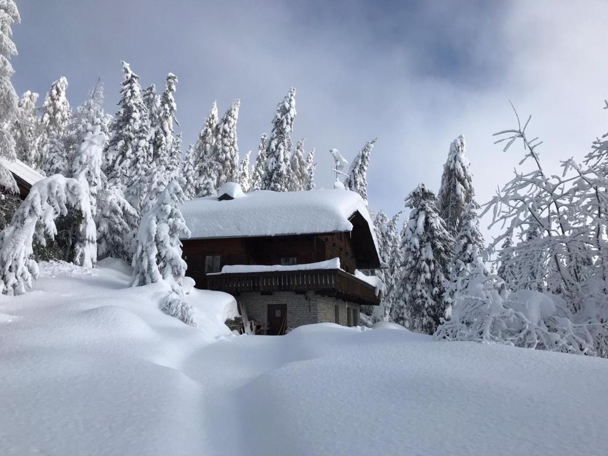 Kronplatz Ski Lodge ヴァルダーオラ エクステリア 写真