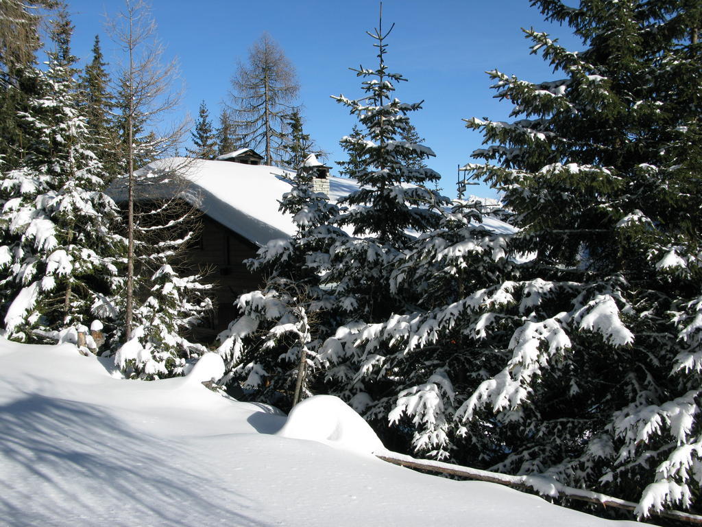 Kronplatz Ski Lodge ヴァルダーオラ エクステリア 写真